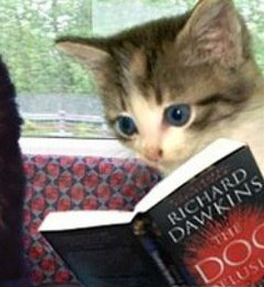 Archivo:Gato leyendo.jpg