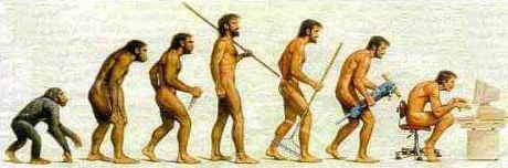 Archivo:Evolucion humana.jpg