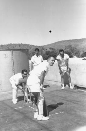Archivo:Cricket palos.jpg