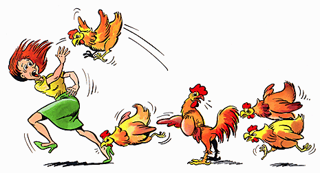 Archivo:Chicken-attack.gif