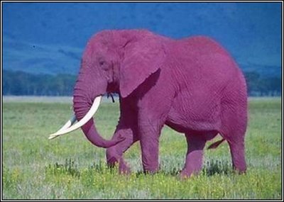 Archivo:Elefante rosado.jpg