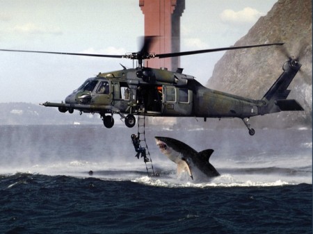 Archivo:Shark Attack 01.jpg