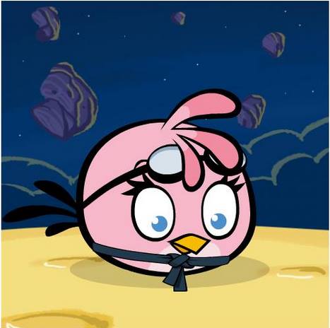 Archivo:Pink Bird Pilot.jpg