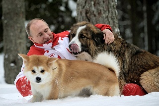 Archivo:Putin cachorros.jpg