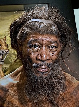 Archivo:Neanderthal-Morgan-Freeman.jpg