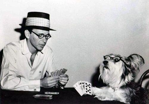 Archivo:Sinatra-perro.jpg