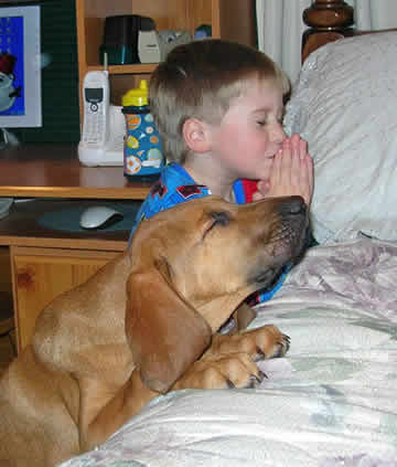 Archivo:Dog-pray.jpg