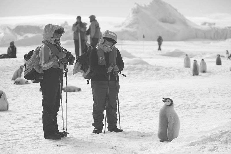 Archivo:Jovenes conversan con pinguinos.jpg