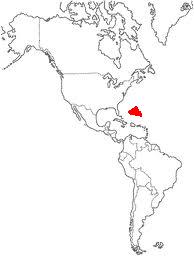 Mayonesia.jpg