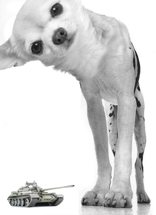 Archivo:Mega Chihuahua.png