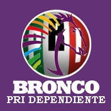 Archivo:Bronco Independiente.jpg