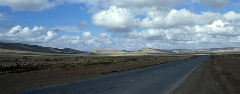 Archivo:Western sahara landscape (north).jpg