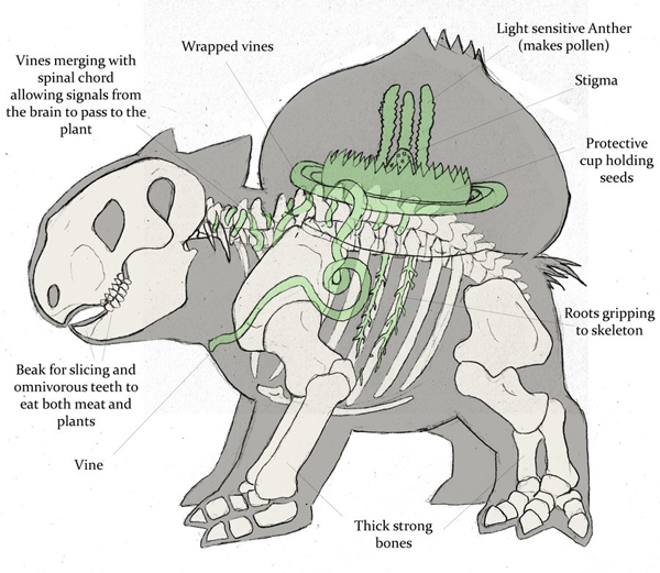 Archivo:Anatomia Bulbasaur.jpg