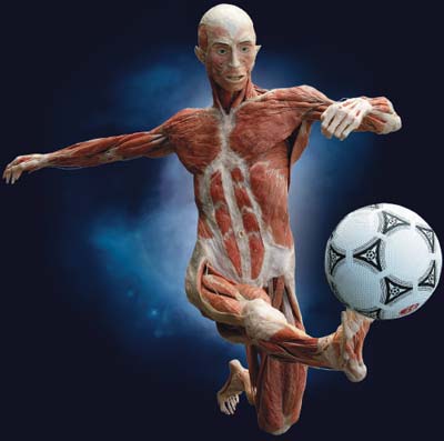 Archivo:Soccer-top.jpg