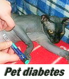 Archivo:Petdiabeteslogo.png