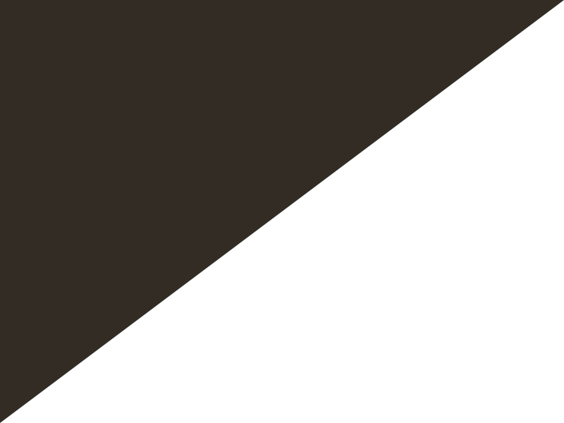 Archivo:F1 black and white diagonal flag.png