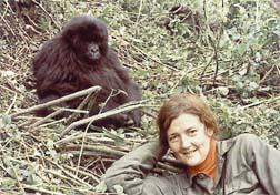 Archivo:FosseySexy.jpg