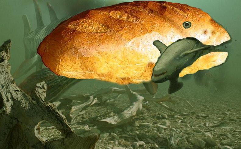 Archivo:Breadfish.jpg