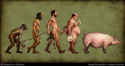 Archivo:Evolucion cerdo.jpg