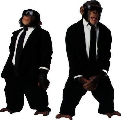 Archivo:Animal-monkey-men-in-black.jpg