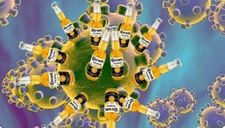 Corona-Virus.jpg