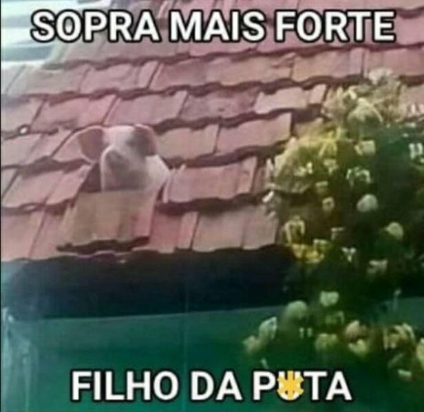 Archivo:Sopra mais forte.jpeg