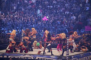 Diva Battle Royal at WrestleMania 25 2.jpg