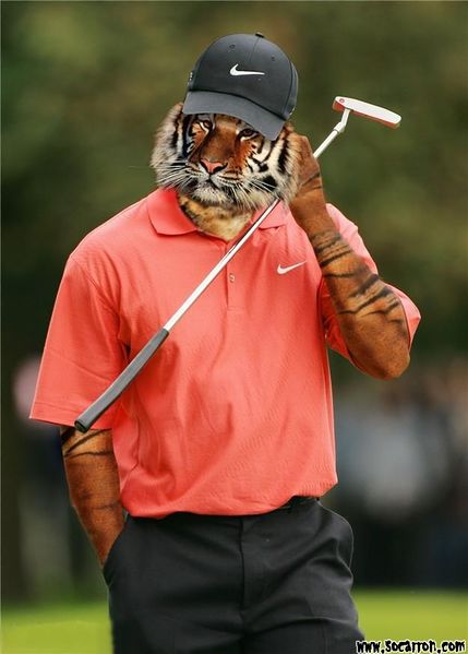 Archivo:Tiger.jpg