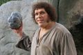 Princess-Bride-Andre-the-Giant.jpg