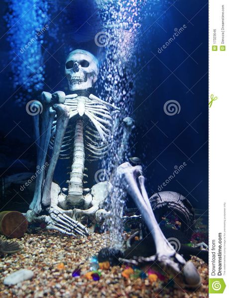 Archivo:Esqueleto-humano-bajo-el-agua-17323646.jpg