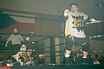 The Public Enemy - pro wrestling - March 2002.jpg