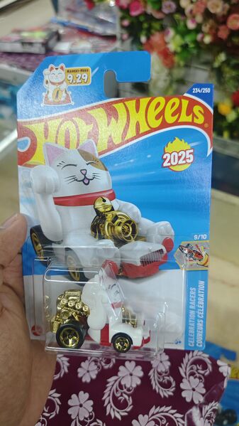 Archivo:Turbo granny cat.jpeg