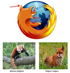 Firefoxlogoinvestigacion.png