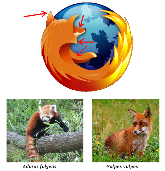 Archivo:Firefoxlogoinvestigacion.png