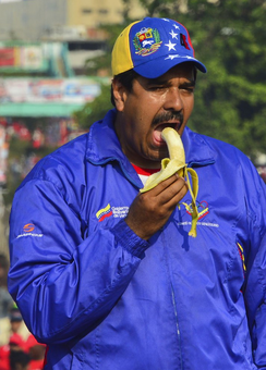 El burro comiendo.png