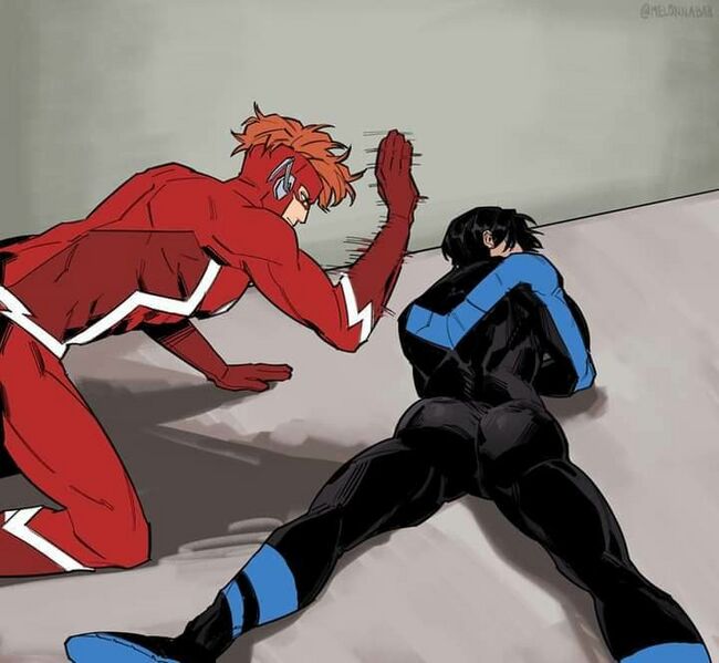 Archivo:Flash y Nightwing.jpg