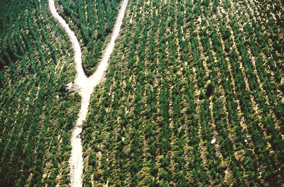 Archivo:Rascafría, aéreas 1993 10.jpg