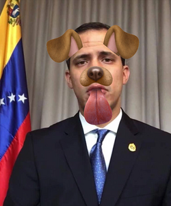 Juan Whydog.png