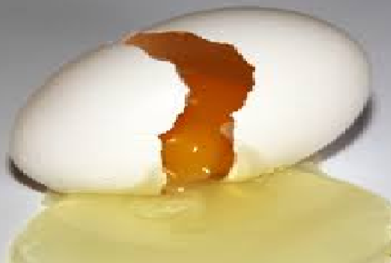 Archivo:Huevo roto.png