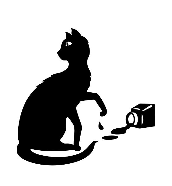 Archivo:LittleBlackCat.jpg