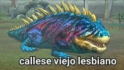 Callese viejo lesbiano.jpg