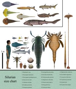 History size chart silurian by dragonthunders.jpg