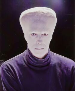 Spinetta Estrelicia.jpg