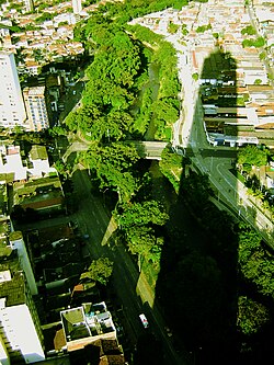 Carlos Dussan Gomez cali desde La torre.jpg