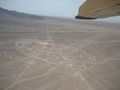 Lineas Nazca Inciclopedia.jpg