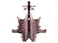 Normalized Rorschach blot 06.jpg