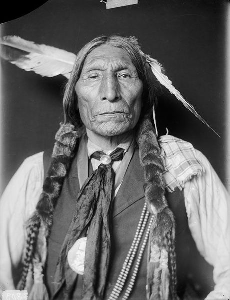 Archivo:Wolf-Robe-Cheyenne-1909.jpg