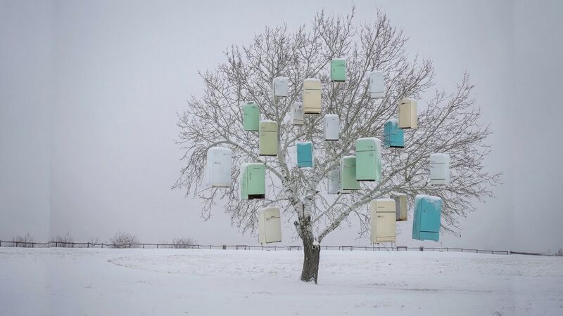 Archivo:Arbol refrigeradores.jpeg
