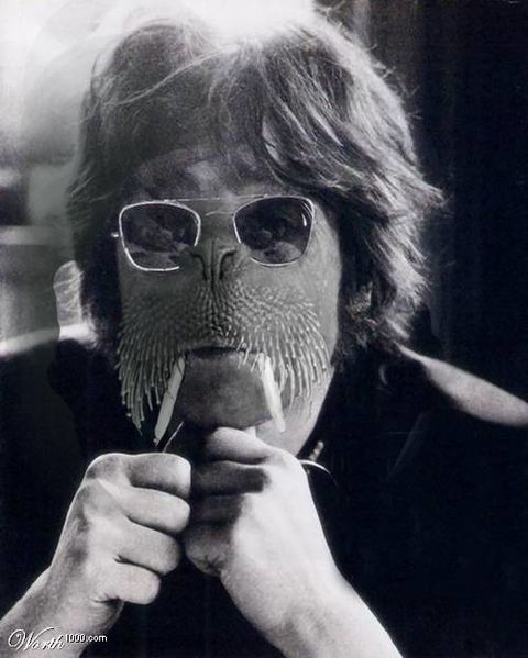Archivo:Lennon-walrus.jpg