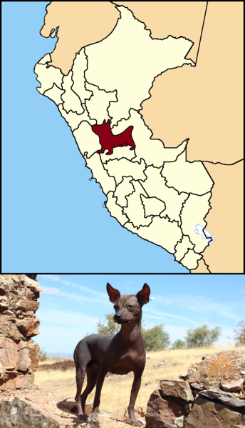 Archivo:Mapa de Huánuco.png
